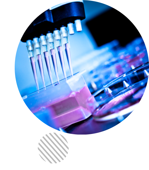 TradeLab главное изображение